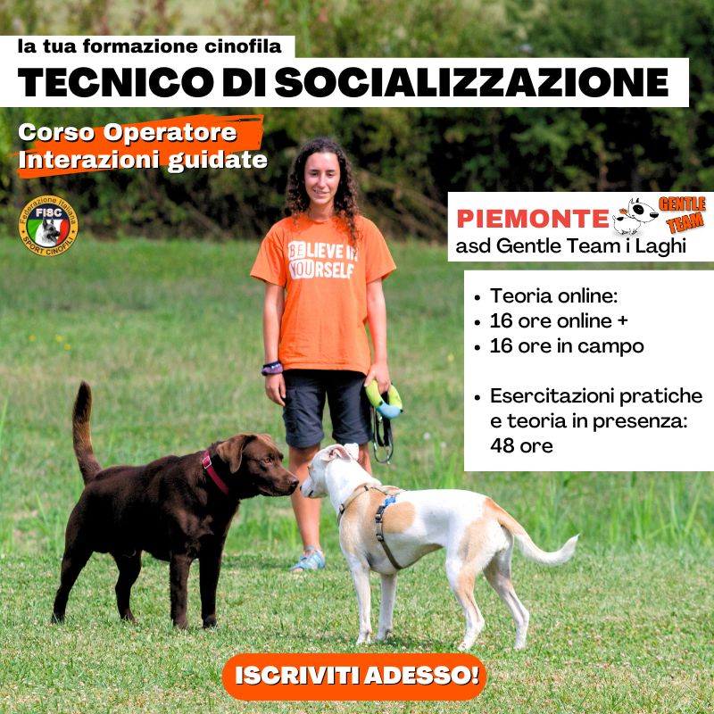 corso educatore cinofilo per classi di socializzazione del cane