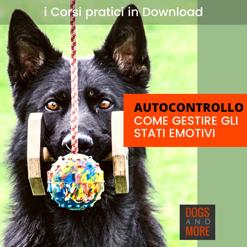 video autocontrollo del cane