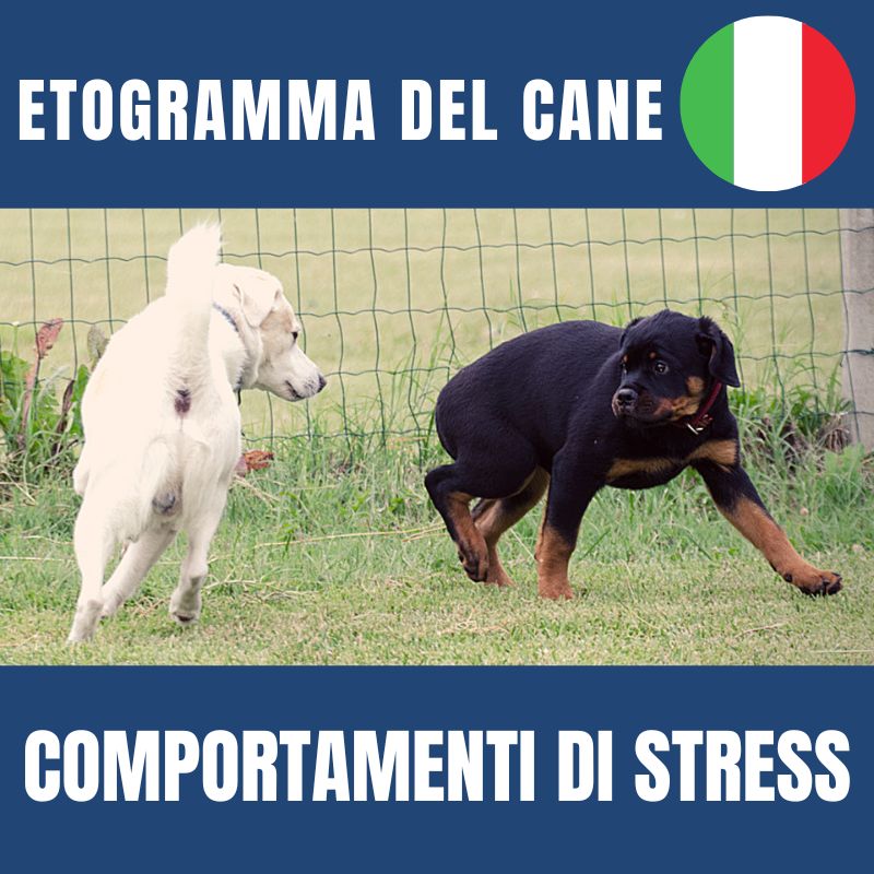 download comportamenti di paura e stress del cane