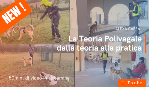 teoria polivagale comportamento del cane