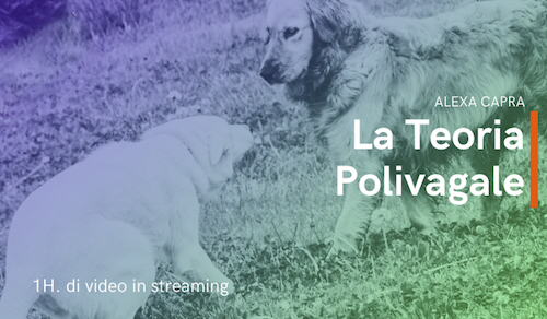 teoria polivagale comunicazione cane uomo