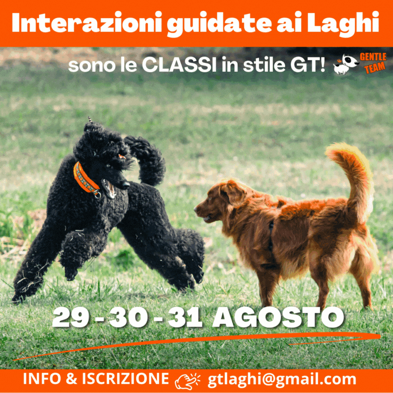 classi cani alexa capra