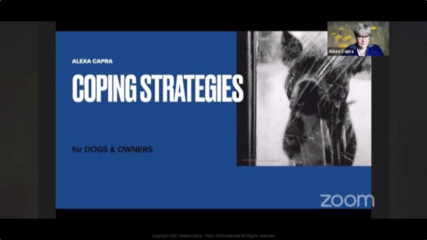 dog beahvior video conference alexa capra