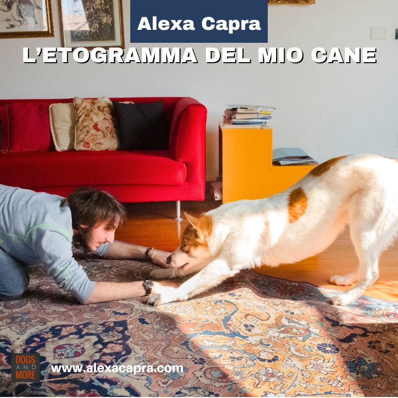 corso sul comportamento del cane