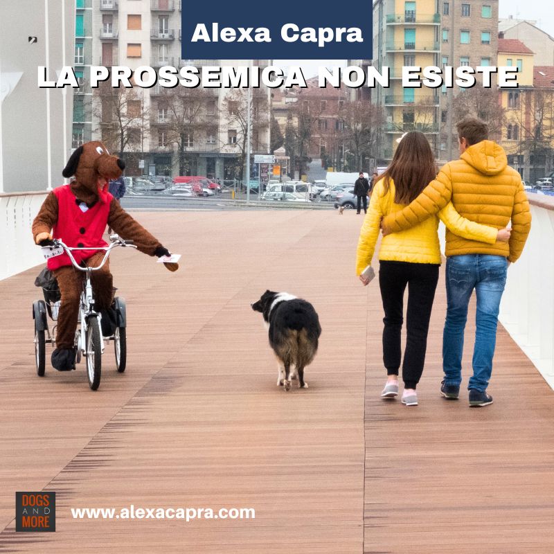 webinar sulla comunicazione uomo cane