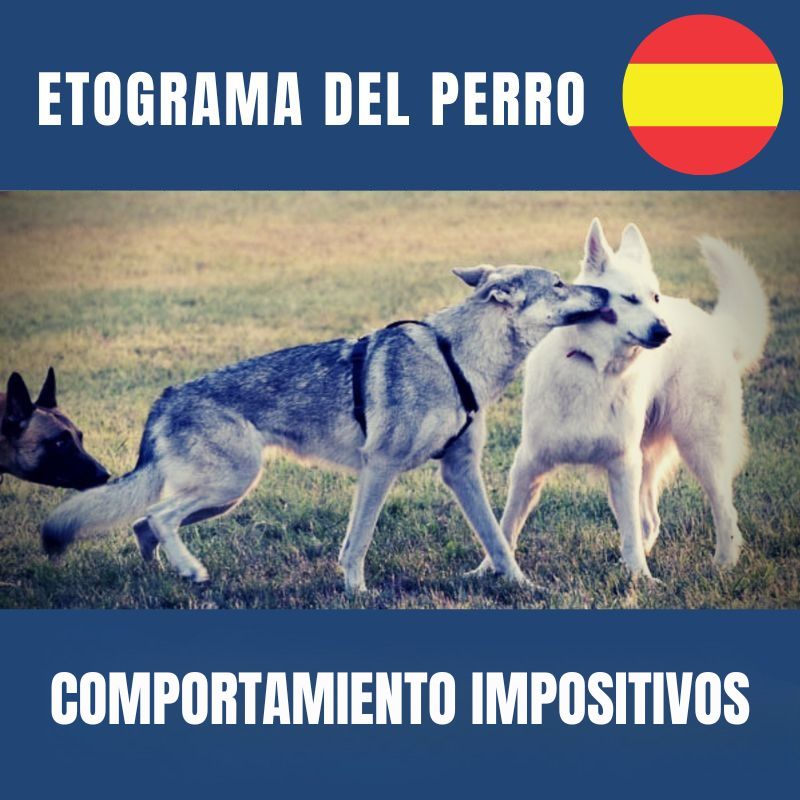 Etograma de comportamientos impositivos del perro