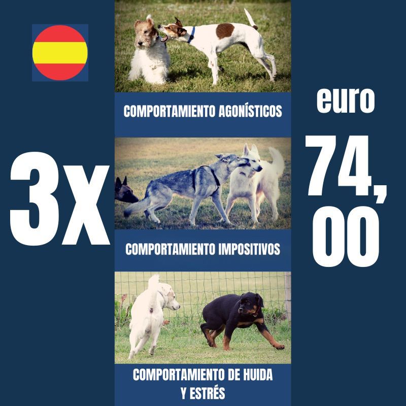 3x Etograma del perro